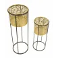 P/VASI FLAT Para cm 17X45-13,5X33 MIN 2